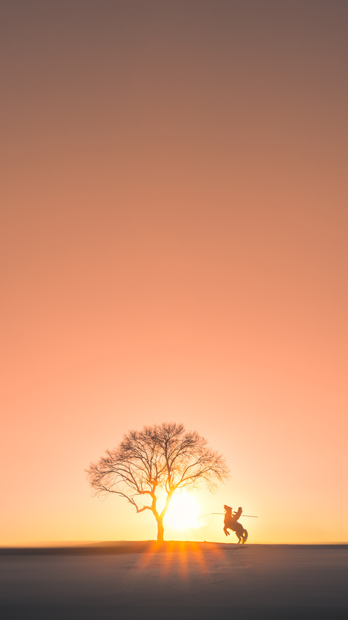 篮球场上的世界杯预演，当尼克斯的战术板照亮2026绿茵之战